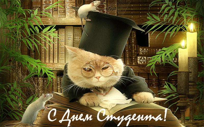 https://upforme.ru/uploads/0004/02/e8/7719/33693.png