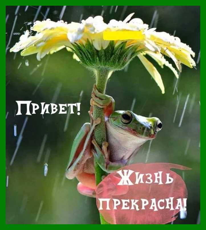https://upforme.ru/uploads/0004/02/e8/7719/37660.jpg