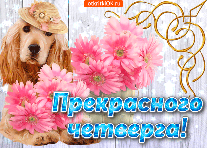 https://upforme.ru/uploads/0004/02/e8/7719/46782.gif