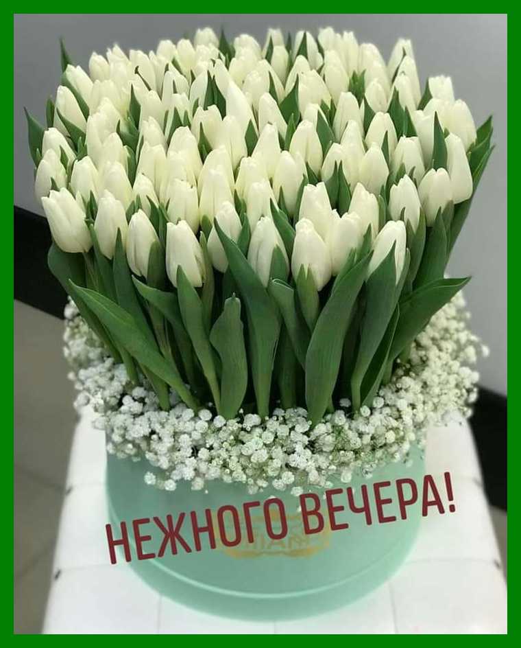 https://upforme.ru/uploads/0004/02/e8/7719/579196.jpg
