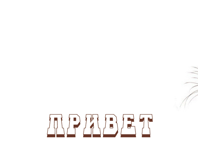 https://upforme.ru/uploads/0004/02/e8/7719/632716.gif