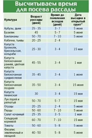 https://upforme.ru/uploads/0004/02/e8/7719/65326.jpg
