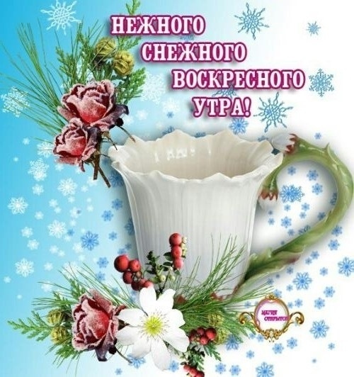 https://upforme.ru/uploads/0004/02/e8/7719/83648.jpg