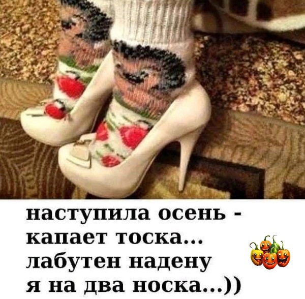 https://upforme.ru/uploads/0004/02/e8/8306/107533.jpg