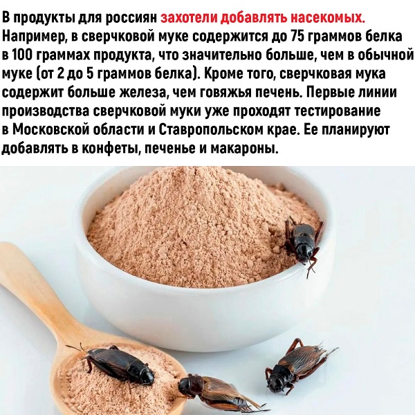 https://upforme.ru/uploads/0004/02/e8/8306/452770.jpg