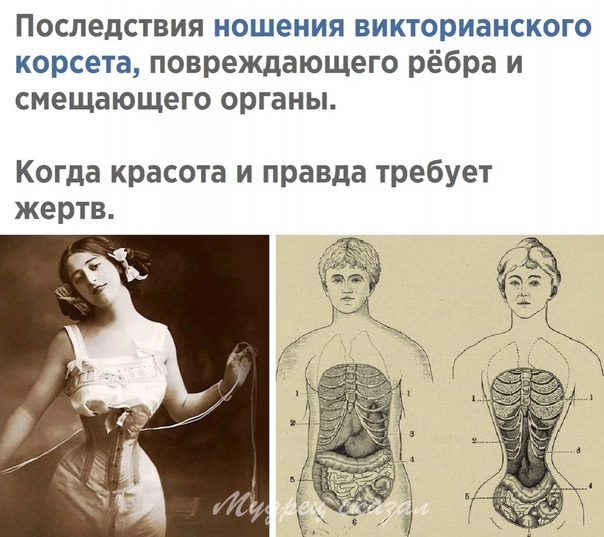 https://upforme.ru/uploads/0004/02/e8/8306/927413.jpg