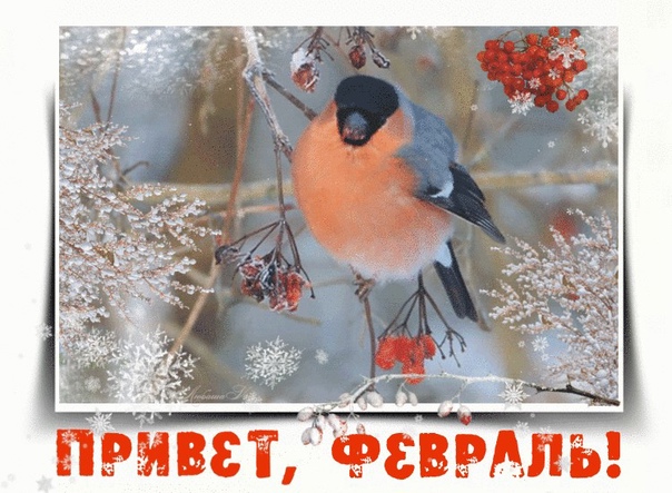 https://upforme.ru/uploads/0004/02/e8/8306/943413.jpg