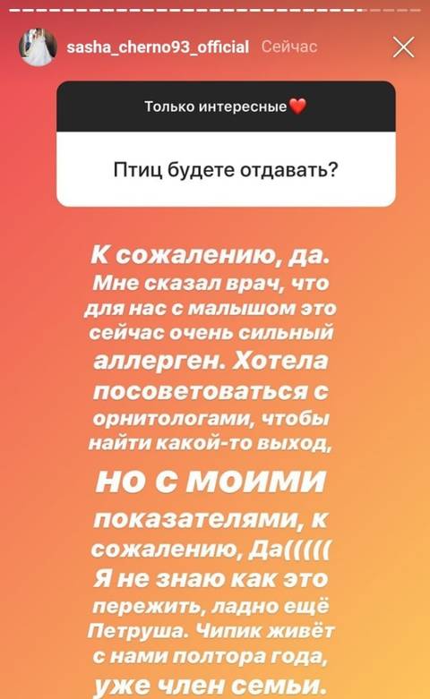 https://upforme.ru/uploads/0004/02/e8/9346/t15419.jpg