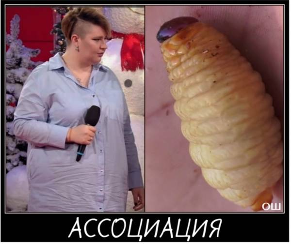 https://upforme.ru/uploads/0004/02/e8/9346/t29858.jpg