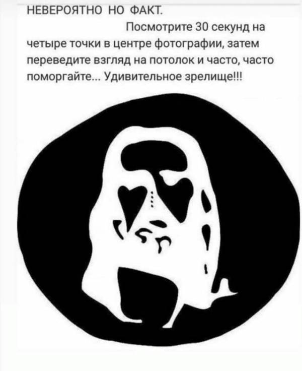 https://upforme.ru/uploads/0004/02/e8/9346/t436196.jpg