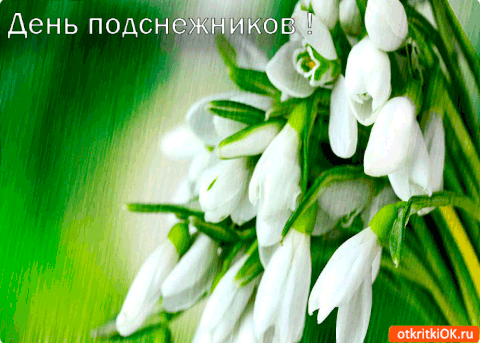 https://upforme.ru/uploads/0004/02/e8/9346/t454391.gif