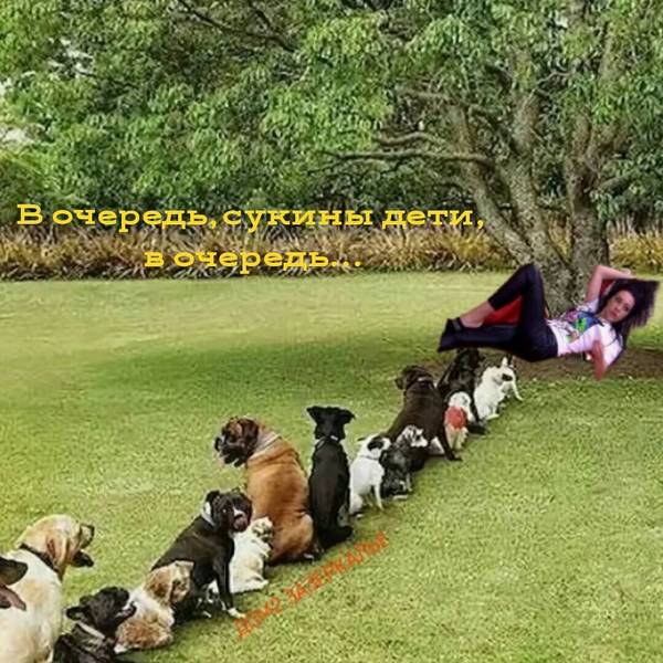 https://upforme.ru/uploads/0004/02/e8/9346/t467727.jpg