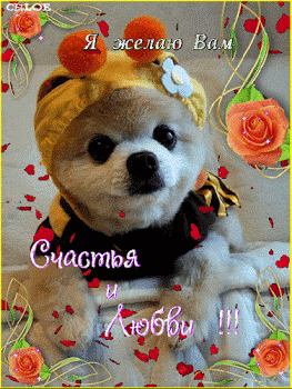 https://upforme.ru/uploads/0004/02/e8/9346/t576157.gif