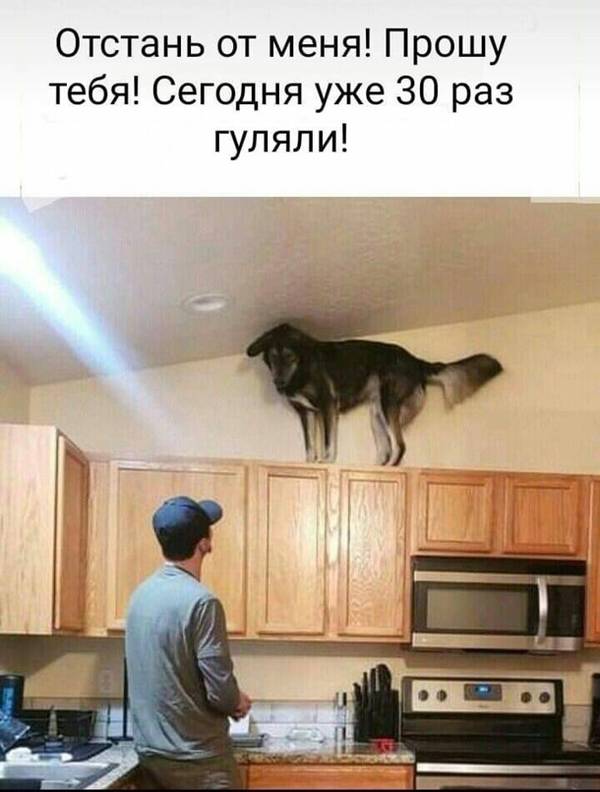 https://upforme.ru/uploads/0004/02/e8/9346/t61580.jpg