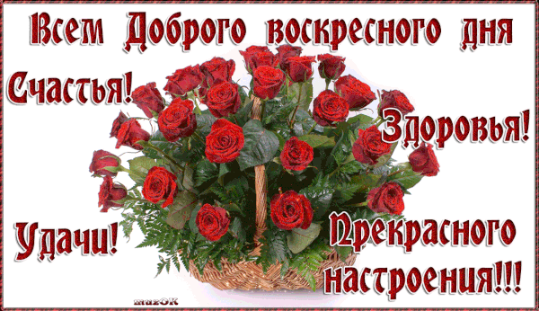 https://upforme.ru/uploads/0004/02/e8/9346/t643599.gif