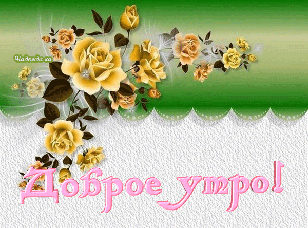 https://upforme.ru/uploads/0004/02/e8/9402/105539.gif