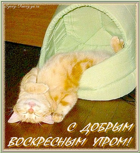 https://upforme.ru/uploads/0004/02/e8/9402/125038.jpg