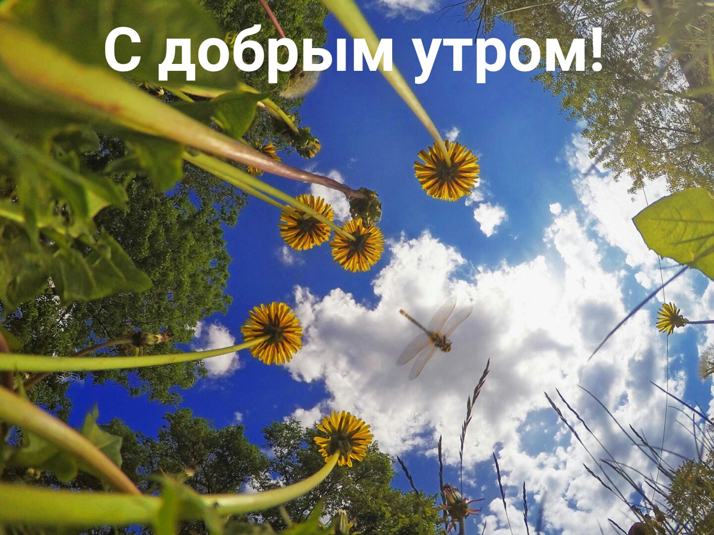 https://upforme.ru/uploads/0004/02/e8/9402/157250.jpg