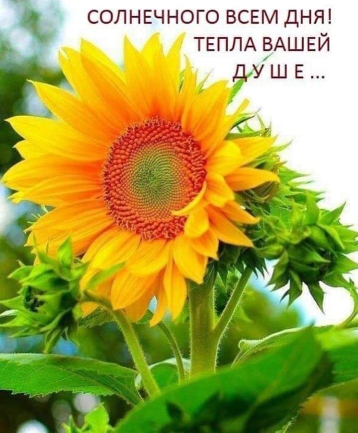 https://upforme.ru/uploads/0004/02/e8/9402/196410.jpg
