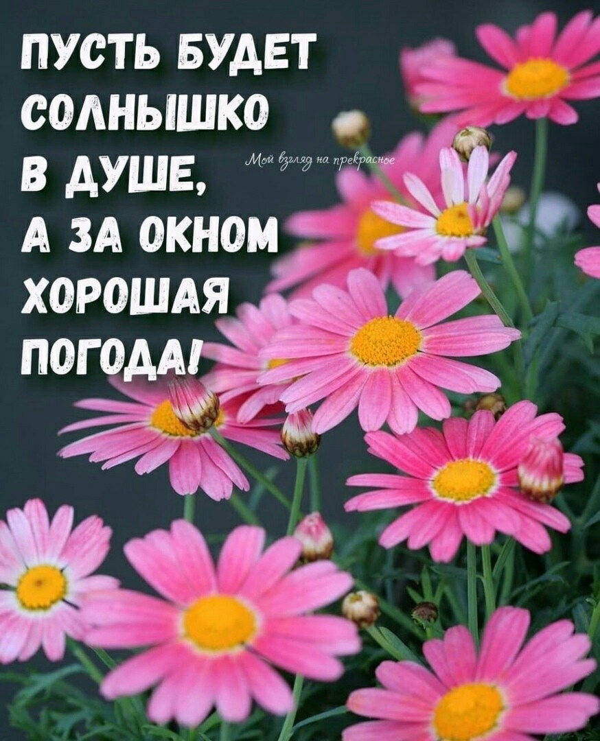 https://upforme.ru/uploads/0004/02/e8/9402/274368.jpg