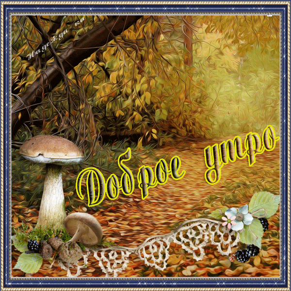 https://upforme.ru/uploads/0004/02/e8/9402/340666.gif