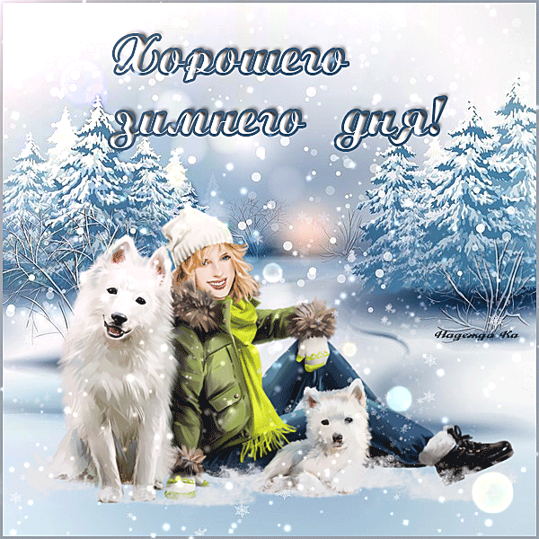 https://upforme.ru/uploads/0004/02/e8/9402/353034.gif
