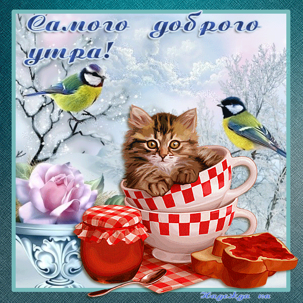 https://upforme.ru/uploads/0004/02/e8/9402/37198.gif