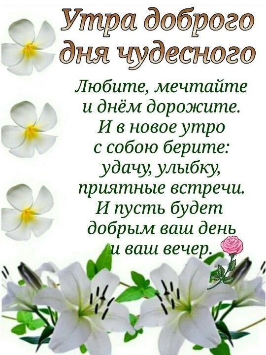 https://upforme.ru/uploads/0004/02/e8/9402/396619.jpg