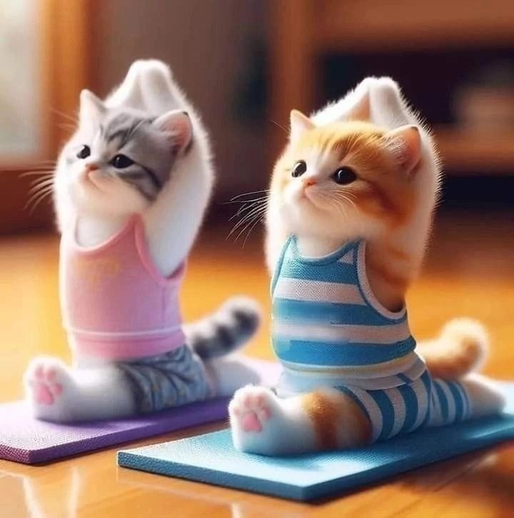 https://upforme.ru/uploads/0004/02/e8/9402/400307.jpg
