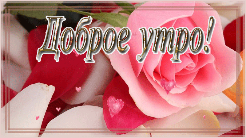 https://upforme.ru/uploads/0004/02/e8/9402/434359.gif