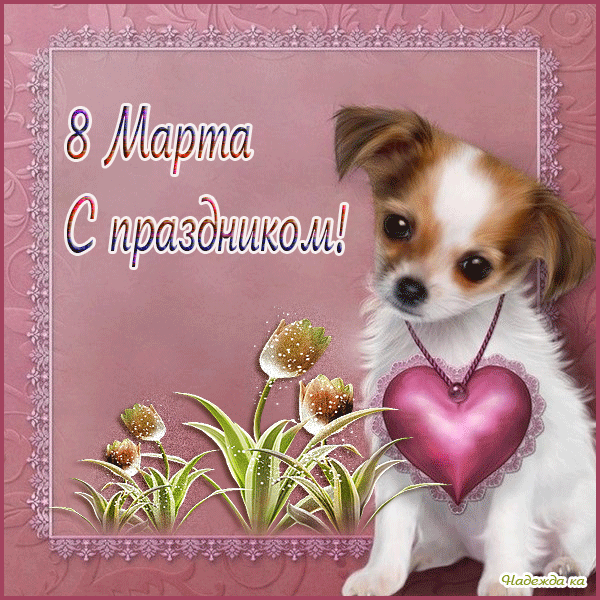 https://upforme.ru/uploads/0004/02/e8/9402/482483.gif