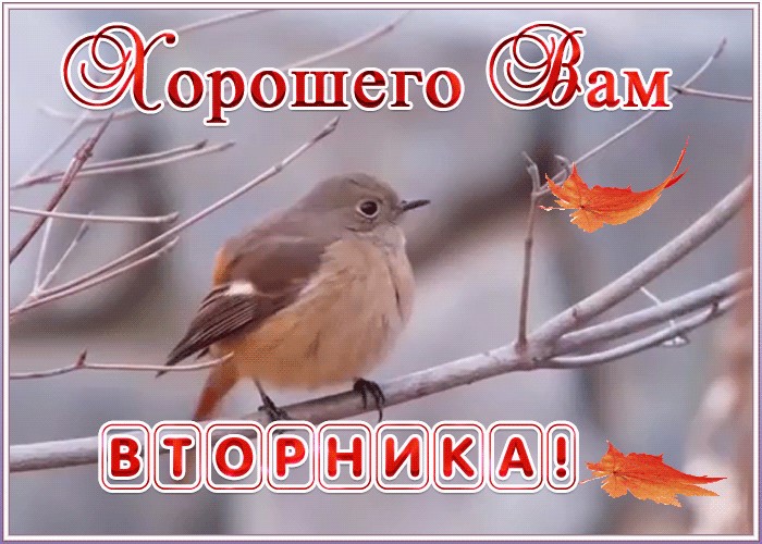 https://upforme.ru/uploads/0004/02/e8/9402/493821.jpg