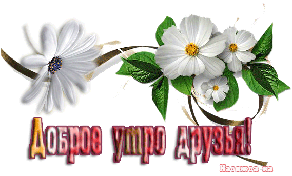 https://upforme.ru/uploads/0004/02/e8/9402/51961.gif