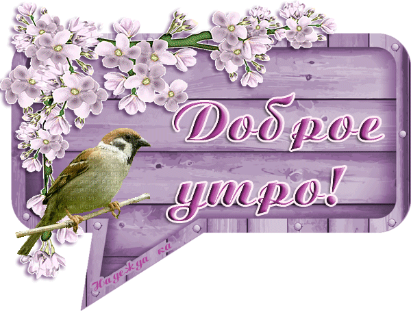 https://upforme.ru/uploads/0004/02/e8/9402/520221.gif