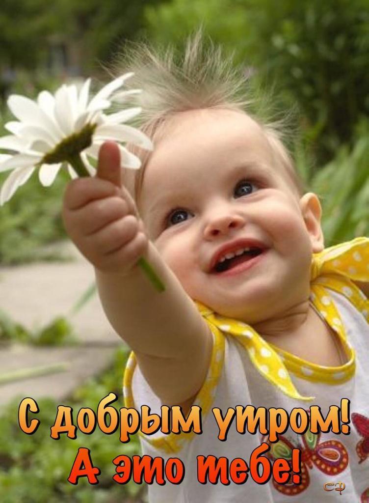 https://upforme.ru/uploads/0004/02/e8/9402/557671.jpg
