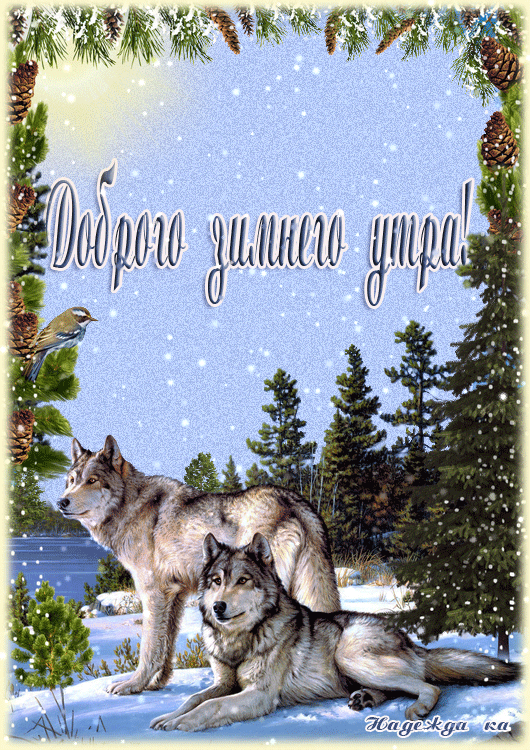 https://upforme.ru/uploads/0004/02/e8/9402/580579.gif