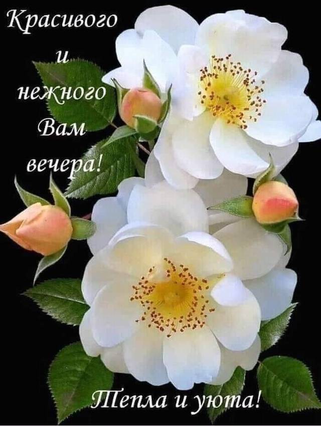 https://upforme.ru/uploads/0004/02/e8/9402/613921.jpg