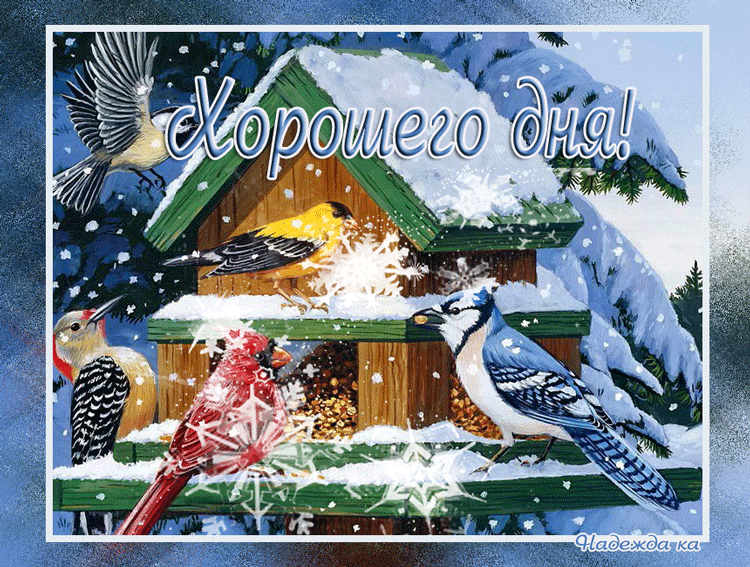 https://upforme.ru/uploads/0004/02/e8/9402/646134.gif