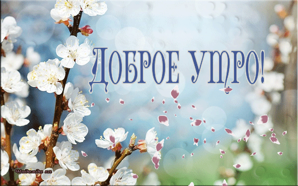 https://upforme.ru/uploads/0004/02/e8/9402/686813.gif