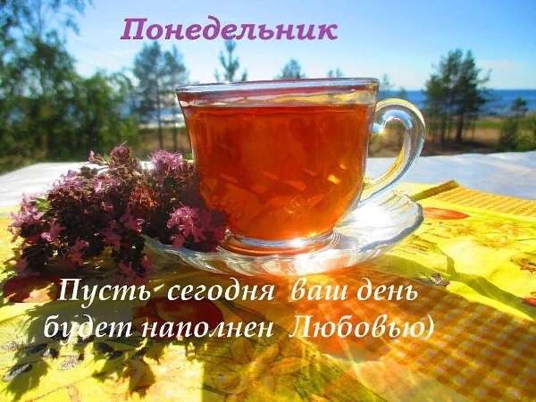 https://upforme.ru/uploads/0004/02/e8/9402/717935.jpg