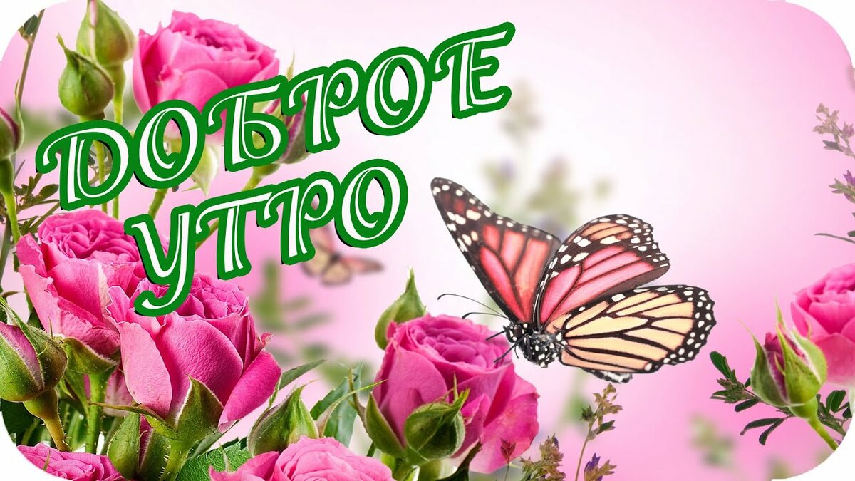https://upforme.ru/uploads/0004/02/e8/9402/818539.jpg