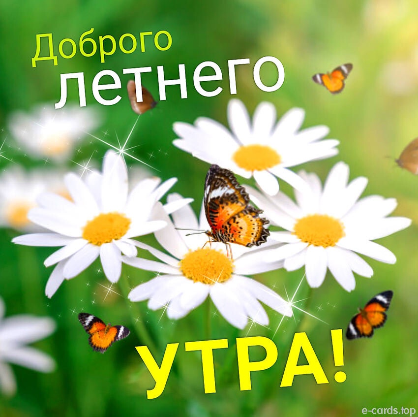 https://upforme.ru/uploads/0004/02/e8/9402/82665.jpg