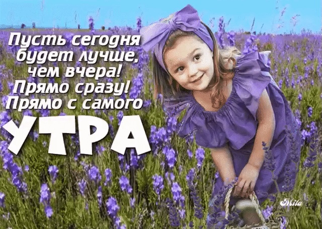 https://upforme.ru/uploads/0004/02/e8/9402/828074.jpg