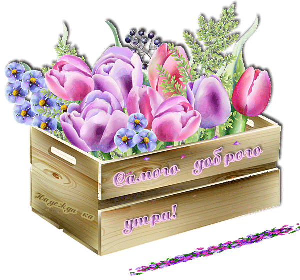 https://upforme.ru/uploads/0004/02/e8/9402/85048.gif