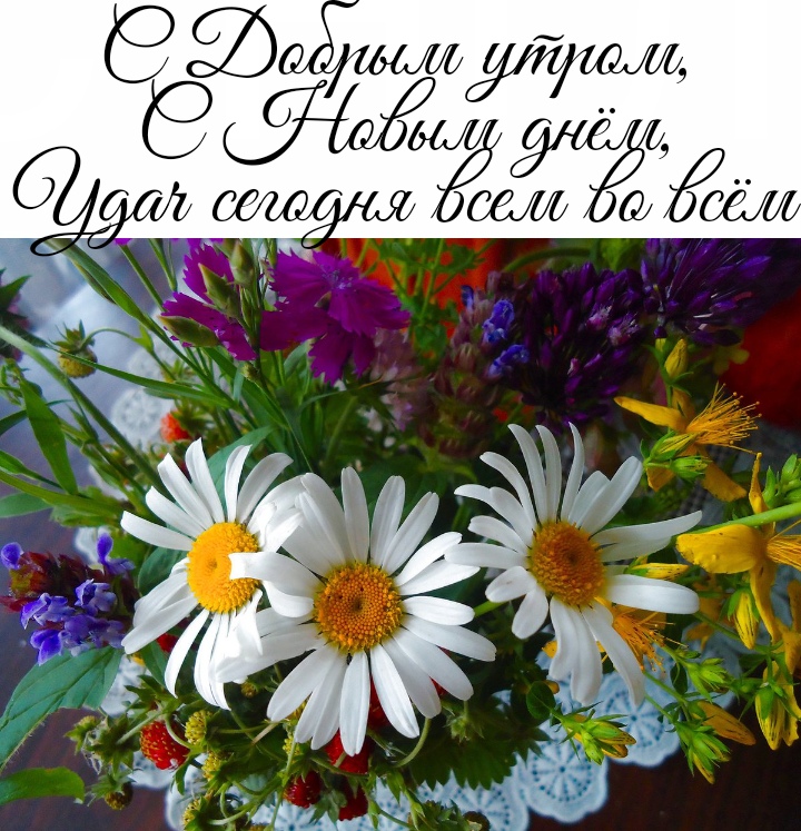 https://upforme.ru/uploads/0004/02/e8/9402/867854.jpg