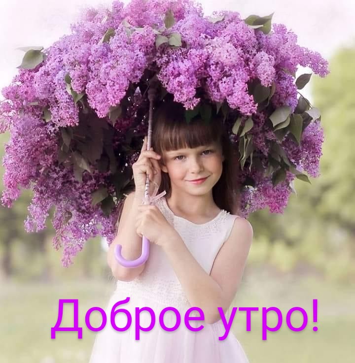 https://upforme.ru/uploads/0004/02/e8/9402/967929.jpg