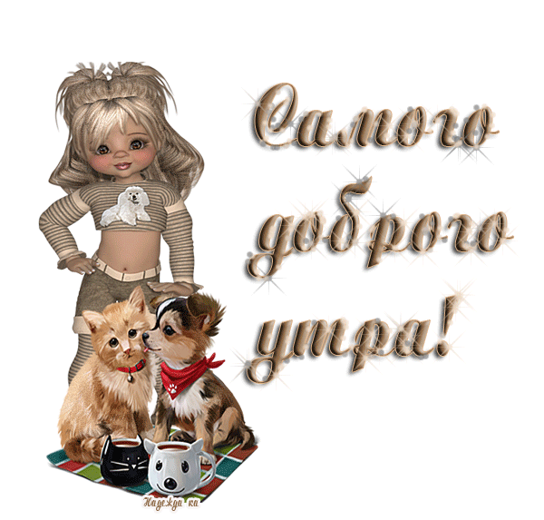 https://upforme.ru/uploads/0004/02/e8/9402/993711.gif