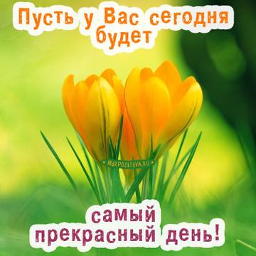 https://upforme.ru/uploads/0004/02/e8/9402/t215850.jpg
