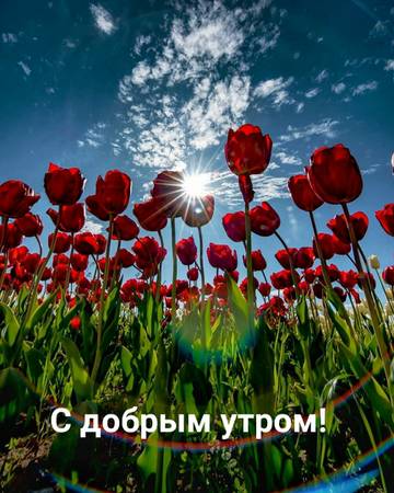 https://upforme.ru/uploads/0004/02/e8/9402/t699801.jpg