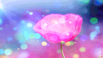 https://upforme.ru/uploads/0004/02/e8/9882/t752648.gif